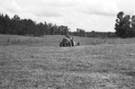 Clipping pasture [Slide Farm-16] by Howard Langfitt