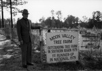 Moon Mullins at Tree Farm by Bobbie Jean Dickinson