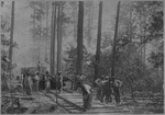 Logging Train 2