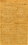 Letter, Alex W. Feemster to Loulie Feemster, November 12, 1864