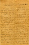 Letter, Alex W. Feemster to Loulie Feemster, November 12, 1864 by Alexander Whitfield Feemster