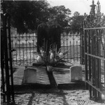 Grave of Frank Cuevas