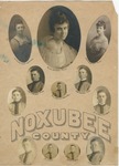 Noxubee County Club, 1917