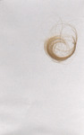 Hair Sample