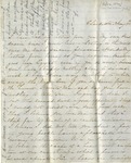 Letter from Lulu by Martha Louisa Starr