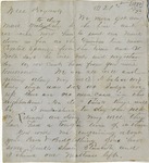 Letter about Yellow Fever Quarantine by John Calvin Williams