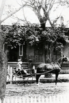 Horse Drawn Buggy in Front of a House, Jackson, Mississippi