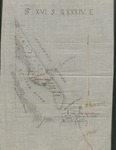 Map, Hand Drawn on Linen, Indicating the Site of Babcock's Death, Mosquito Inlet, Florida, 1884