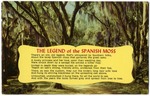 The Legend of the Spanish Moss