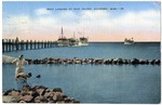 Boat Landing at Ship Island