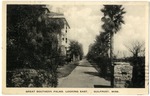 Great Southern Palms, Looking East