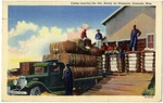 Cotton leaving the Gin, Ready for Shipment