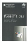 Rabbit Hole, program