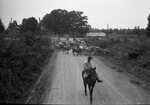 Herding Cows Along Road by Fred A. Blocker