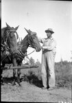 Man Tending to Horses by Fred A. Blocker