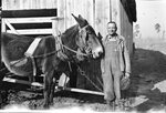 Man Posing with Donkey by Fred A. Blocker