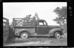 Horse in Truck's Bed by Fred A. Blocker