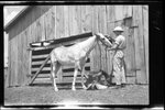 Blocker with Horse by Fred A. Blocker