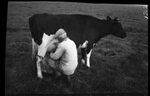 Man Milking Cow by Fred A. Blocker
