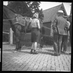 People Standing Next to Horse by Fred A. Blocker