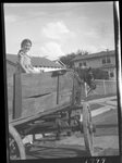 Girl Sitting in Horse's Buggy by Fred A. Blocker