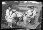 Boys with Sheep and Prizes by Fred A. Blocker