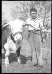Boy with Cow by Fred A. Blocker