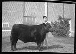 Boy with Cow by Fred A. Blocker