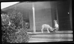 Boy and Dog on Porch by Fred A. Blocker