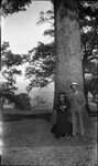 Couple Posing Under Tree by Fred A. Blocker