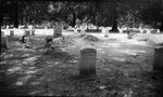 Cemetery by Fred A. Blocker