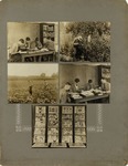 Zoology Department, Entomology Department, R. W. Harned