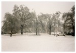 Snow, Campus