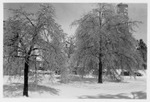 Snow, Ice, Campus