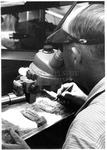 MSU Staff -- Microscopy -- Elvis Gaines