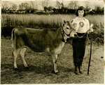 4-H Delta Livestock Fair Champion Cow