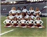Mississippi State University Pom Squad, 1993