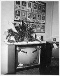 Admiral Televisions