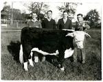 4-H Students with Bull