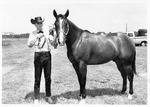 4-H Champion Quarter Horse
