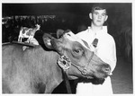 Grand Champion Ayrshire Dairy Cow