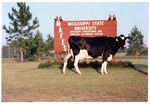 Mississippi State Agriculture and Forestry Experiment Station