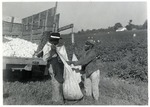 Farm Labor